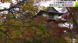 7日から一転し8℃以上下がった気温　「立冬」迎えた弘前公園は紅葉が見頃に　青森|TBS NEWS DIG