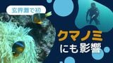 熱帯魚のすみかに異変　“白化”　原因は「猛暑」「台風」～海水温３０℃超で深刻な状況　|　福岡のニュース｜RKB NEWS｜RKB毎日放送