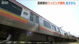 E129系の2両編成に『大地の芸術祭 越後妻有アートトリエンナーレ』特別ラッピング 新潟県|TBS NEWS DIG