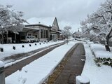 駅前も真っ白に…白河で積雪１６センチ　南岸低気圧発達で福島県内各地で積雪　|　福島のニュース│TUF