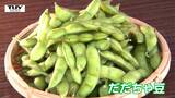 だだちゃ豆の季節がやってきた！待ってました！直売所にぎわう（山形・鶴岡市）　|　山形のニュース│TUYテレビユー山形