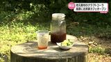地元素材のクラフトコーラが看板メニュー 高原町で地域商社プロデュースの古民家カフェがオープン | MRTニュース | MRT宮崎放送