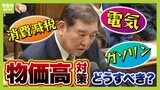 「がっつり消費税ナシにしてほしい」減税求める街の声に与野党はどう対応？石破総理は慎重姿勢　『消費減税は"コスパ"悪い』と指摘する専門家も【解説】|TBS NEWS DIG