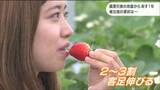 「励ましの声をたくさんもらった」震度6強地震から1年“被災地のいま”城は?病院は?いちご農園は?宮城 | 宮城のニュース│tbc NEWS│tbc東北放送
