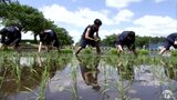 高校生「大変です。足腰が」　伝統行事の全校田植え　１０月に収穫へ|TBS NEWS DIG