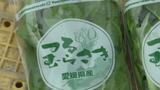 「手ごろな価格で栄養価しっかり」 葉物野菜・ツルムラサキの収穫盛ん 生産者は普及活動に取り組む | 愛媛のニュース - Nスタえひめ|あいテレビは6チャンネル