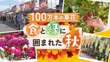 食と緑に囲まれた“秋”を満喫「グリーンマルシェ」に１００万本の花やご当地グルメ　|　福岡のニュース｜RKB NEWS｜RKB毎日放送