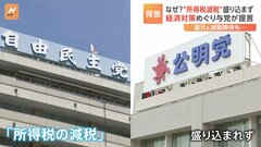 自民党と公明党が経済対策を提言　「所得税の減税」は盛り込まず　「還元」や「減税」を強調した岸田総理の発信の仕方に問題があったと指摘する声も| TBS CROSS DIG with Bloomberg
