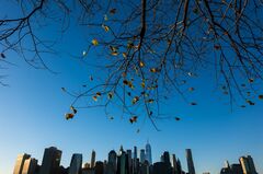 米北東部で秋の山火事リスク高まる－夏場の降雨不足で干ばつ深刻化| TBS CROSS DIG with Bloomberg