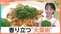 表と裏どっちで切る？香り立つ“大葉術”…子どもがパクパク簡単「大葉レシピ」に、家庭菜園で大量収穫「大葉の栽培術」【Nスタ】| TBS CROSS DIG with Bloomberg