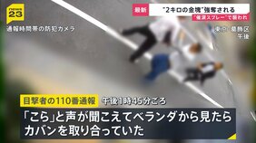 路上で揉み合い金塊2キロ強奪…防犯カメラが捉えた緊迫の瞬間　八王子の貸金庫では現金4億円が盗まれる【news23】|TBS NEWS DIG