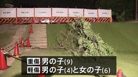 長さ約4.5メートルの枝が落下　子ども3人が重軽傷　「イヌエンジュ」の木、強風で折れたか　京都・宇治市の運動公園|TBS NEWS DIG