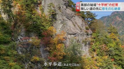 高さ100メートル！断崖絶壁の登山道をゆく…360度カメラがとらえた黒部