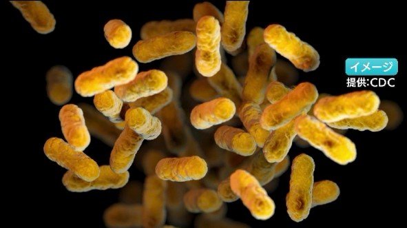 「百日せき」全国で過去最多の感染者数を更新 長野県内も患者数が多い状態で推移 「りんご病」も例年より多く感染予防呼びかけ|TBS NEWS DIG