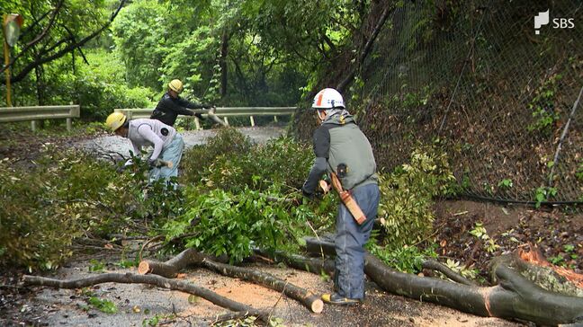 各地で大雨続く 静岡市では倒木が道路ふさぎ一時通行止め 引き続き土砂災害などに注意必要=静岡|TBS NEWS DIG