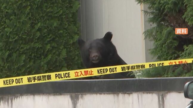 【速報】4月～11月のクマの人身被害　全国で230人　過去最多に　環境省|TBS NEWS DIG