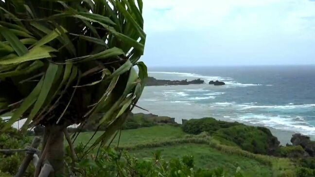台風9号　奄美南部に夕方最接近　波高く海の便に乱れ|TBS NEWS DIG