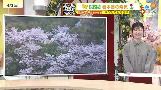 【4/4・5(土日)広島天気】土曜は春の嵐 日曜は天気回復 ※雨と風のシミュレーション|TBS NEWS DIG