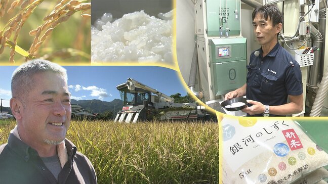 新米の販売本格化　令和の米騒動以来高止まり傾向で県産も前年比1000円値上がり　生産現場や小売は国産離れを懸念　高温・水不足で味や品質そして収量に影響は？　岩手|TBS NEWS DIG