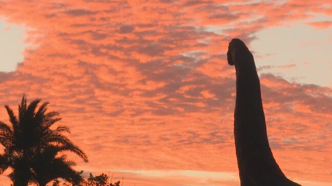 ブラキオサウルスもうっとり ジャングリア沖縄の美しい夕暮れ　開業から1か月経過したパークの様子は？|TBS NEWS DIG