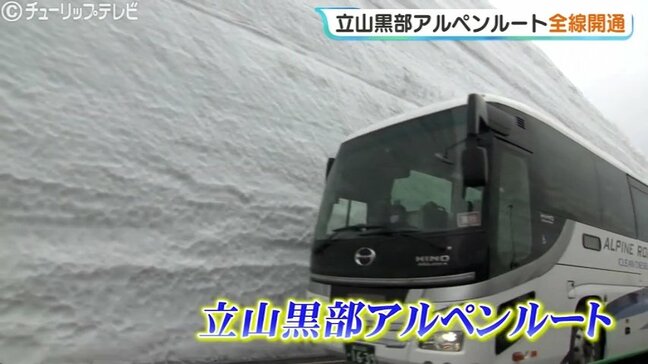 北アルプスの春!立山黒部アルペンルート全線開通で「雪の大谷」に歓声 高さ12mの雪の壁を歩くイベントは6月25日まで 秋まで続く観光ルートの見どころ 富山|TBS NEWS DIG