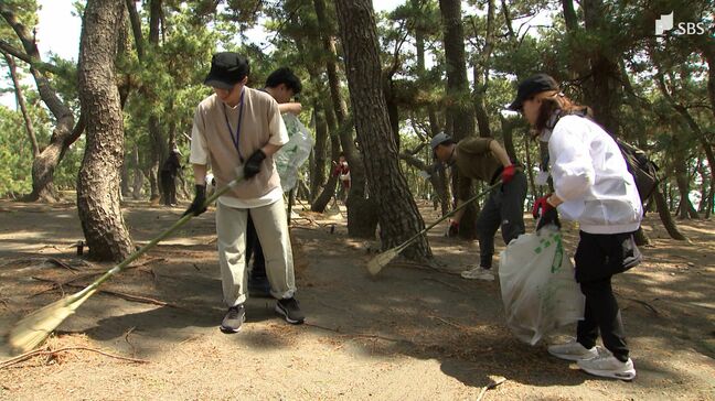 「堅い形だけでは学生は来てくれない」学生と企業が三保松原の保全活動を通して交流=静岡市|TBS NEWS DIG