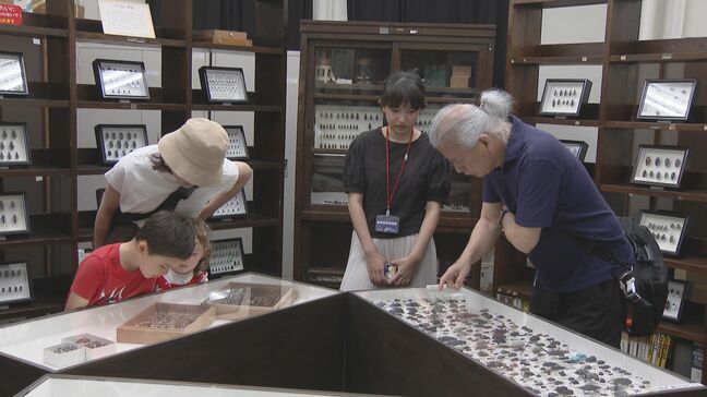 【入場無料】九州大学の貴重な動物･植物･昆虫標本や資料を特別展示「博物の森で遊ぼう」　福岡市東区で開催|TBS NEWS DIG