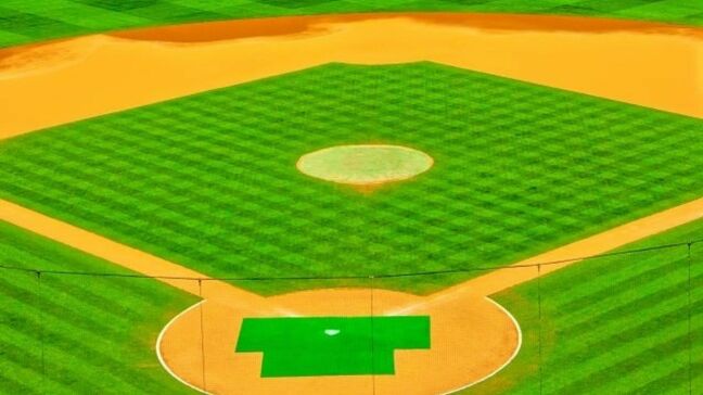 WBC のNetflix独占配信は「時代の流れ」 日本野球が国際競争で生き残るには？|TBS NEWS DIG