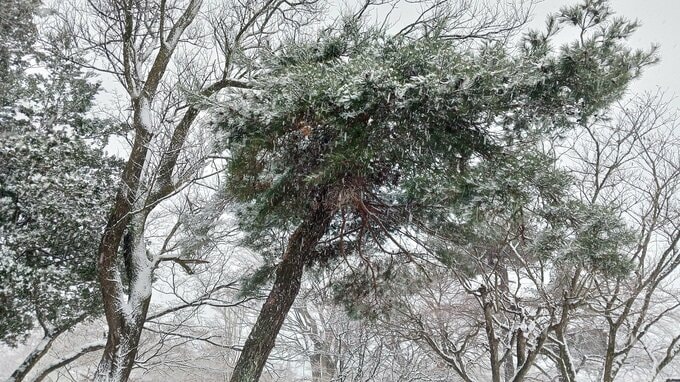 20日夕～21日は暴風雪に警戒を　岩手県に気象情報発表　高波による船舶などへの被害にも注意・警戒　|　IBC NEWS | IBC岩手放送