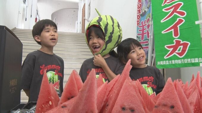 7月27日はスイカの日　名護市でスイカフェア開催|TBS NEWS DIG
