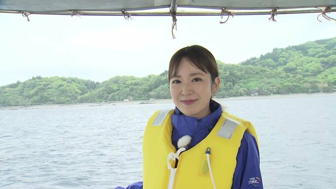 あなたも野生のイルカに会える！？遭遇率は驚きの90%以上という天草のイルカウォッチング　ドキドキの「THE TIME,」生中継そのウラ側　|　熊本のニュース｜RKK NEWS｜RKK熊本放送