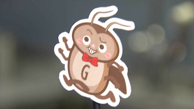 1匹見たら100匹！？ 本格始動前の『今』がゴキブリ対策のラストチャンス！ 古い段ボールは即処分　専門家が伝授する3つのポイント|TBS NEWS DIG