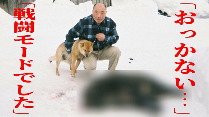 体長約140cmの『イノシシ』と激闘の男性が語った「おっかない…戦闘モードでした」鎌は折れ…手足にケガ…「私も初めての体験です。異種格闘技の」【ほぼ全文掲載】　|　青森のニュース│ATV NEWS│青森テレビ
