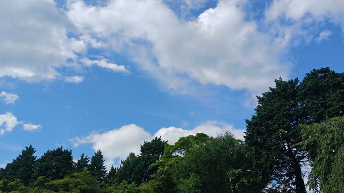大気の状態が非常に不安定　気象台が「雷と突風及びひょうに関する岩手県気象情報　第1号」を発表　|　IBC NEWS | IBC岩手放送