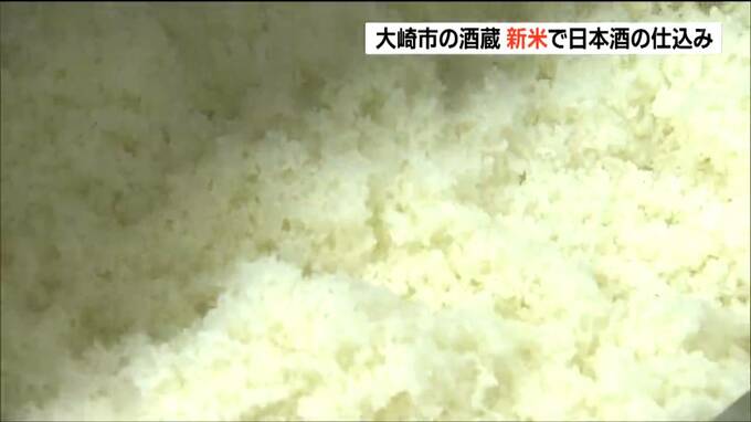 「コメの実りが良くさわやかで軽快な味に」新米を使った日本酒造りへ仕込み作業　宮城・大崎市|TBS NEWS DIG