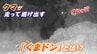 「クマが慌てて逃げだした」新装置  その名は “くまドン”！　北海道・中札内村の住民からは安堵の声も　岡山の大学が開発中　|　岡山・香川のニュース | 天気 | RSK山陽放送