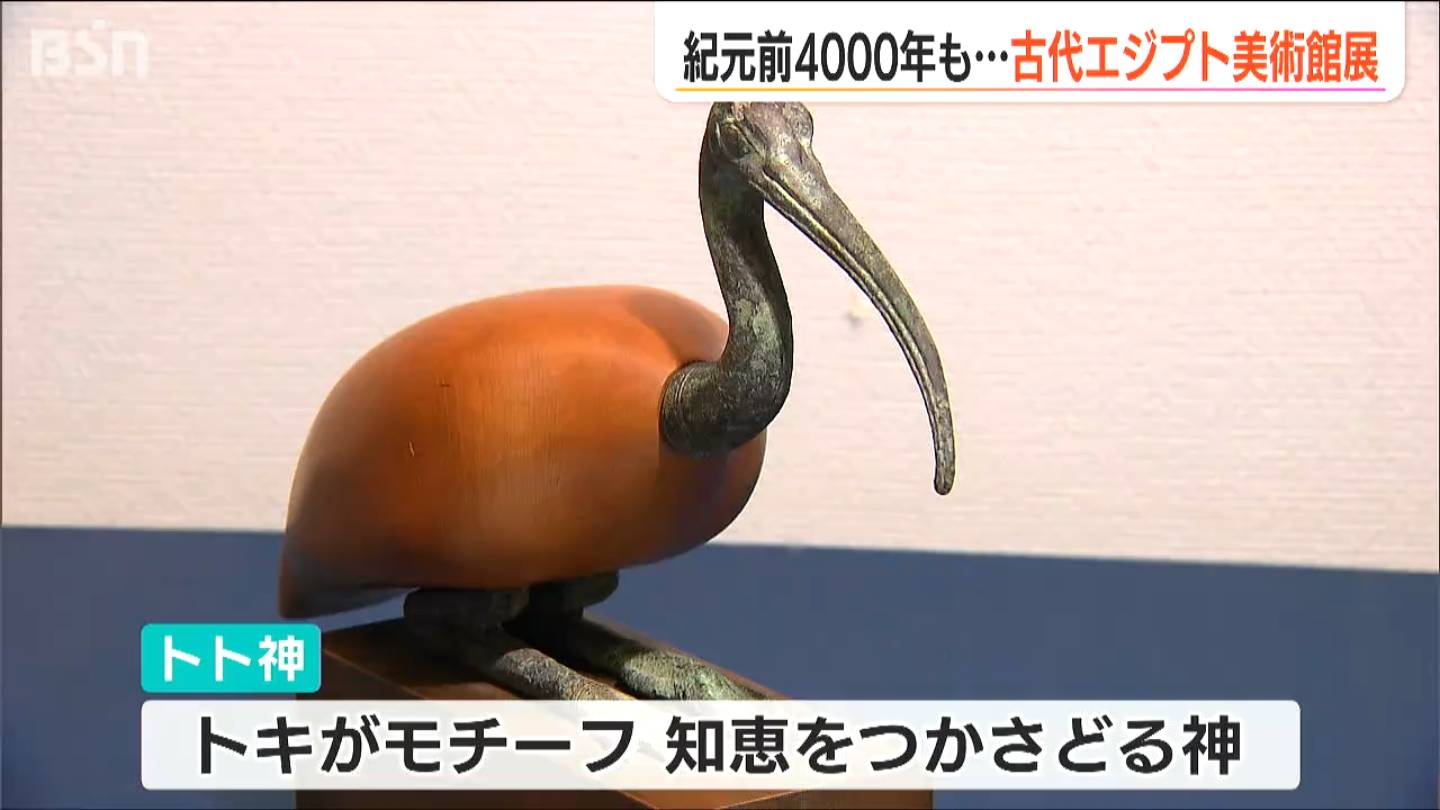 トキのミイラや美術品など“国内唯一の”貴重なコレクション200点を初