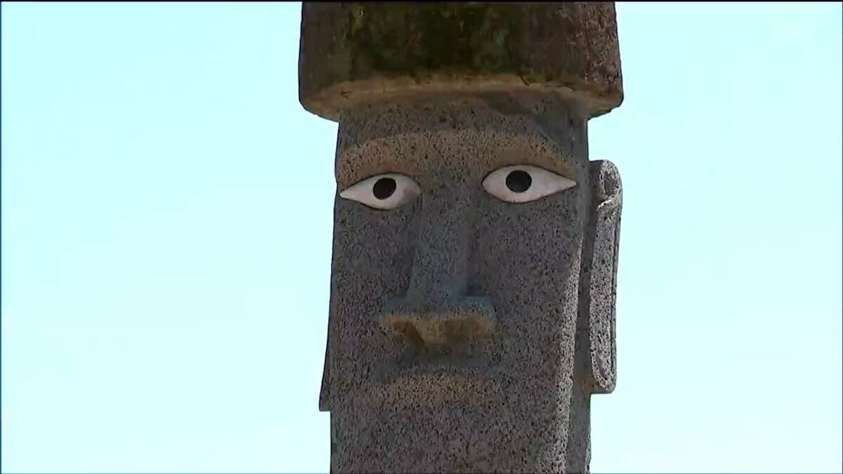 img_7b06f47f3bc1c948c812d89fac