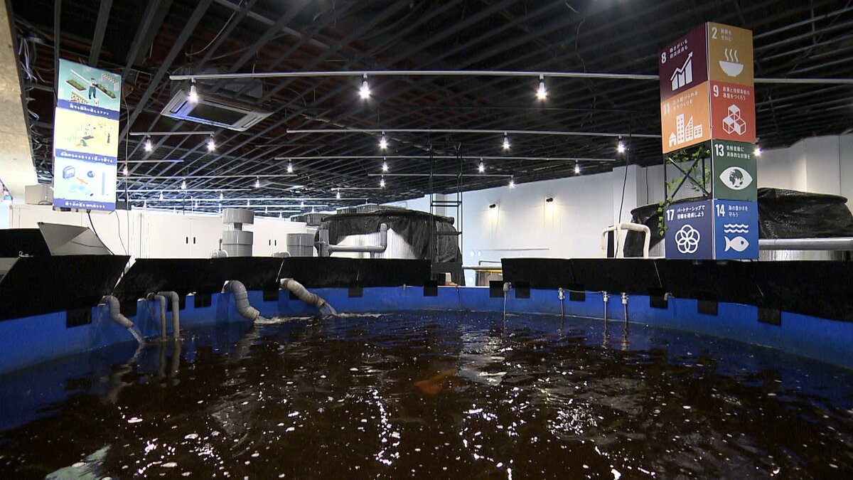 魚の陸上養殖」と「植物の栽培」を同時に‼ 新たな生産システム「アクア