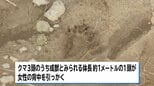 秋田・岩手・山形、各地でクマに襲われ計3人けが|TBS NEWS DIG