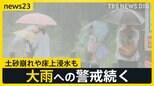 梅雨空戻った日本列島　各地でゲリラ豪雨…奈良公園のシカも“雨宿り” 台風2号→熱帯低気圧に変わる見込みも大雨に要警戒　7月～9月の“気温は高い”予報【news23】|TBS NEWS DIG