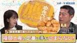 【御意見番が食べてみた12球団お土産編2024】 第2弾ソフトバンクホークス!!　上原浩治さんと唐橋ユミさんが福岡の定番お土産に夢中!?|TBS NEWS DIG