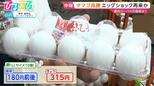 卵1パック300円超え…“エッグショック”に迫る高値に 初の鳥インフルも発生【ひるおび】|TBS NEWS DIG