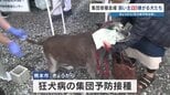 注射なんて嫌だワン！　狂犬病の予防接種　4～6月は強化月間　熊本市　人への感染・発症でほぼ死亡　|TBS NEWS DIG