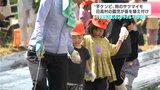 「おいもおおきくな~れ」“芋ケンピ”用のサツマイモ 高知県日高村の園児が苗を植え付け 『芋屋金次郎』のシブヤグループが企画 | 高知のニュース・天気|KUTV NEWS | KUTVテレビ高知