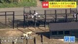 閉園した「ノースサファリ」の運営会社に札幌市12月26日までに122棟撤去を“勧告”従わなかった場合「除却命令」検討　運営会社の代理人「こちらとしても対応を検討」|TBS NEWS DIG