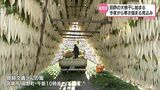 寒さが強まると「大根干し」 高さ6mのやぐらに大根を干す作業が宮崎市田野町で始まる | MRTニュース | MRT宮崎放送
