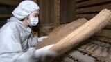「地域の伝統産業を学ぶ」昔ながらの醤油づくりに欠かせない麹の仕込みを市職員が体験【香川】|TBS NEWS DIG