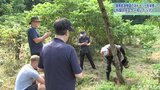 “日本遺産”の「漆文化」を知る旅~外国人モニター招き体験ツアー IGRいわて銀河鉄道などが企画 岩手・二戸市|TBS NEWS DIG