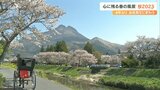 2023年の大分県内各地 桜の名所風景 | 大分のニュース|OBS NEWS|大分放送